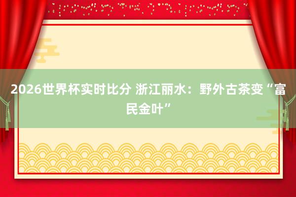 2026世界杯实时比分 浙江丽水：野外古茶变“富民金叶”