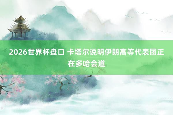 2026世界杯盘口 卡塔尔说明伊朗高等代表团正在多哈会道