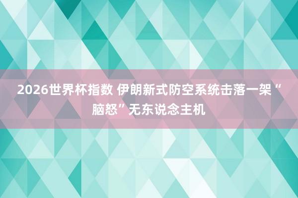 2026世界杯指数 伊朗新式防空系统击落一架“脑怒”无东说念主机