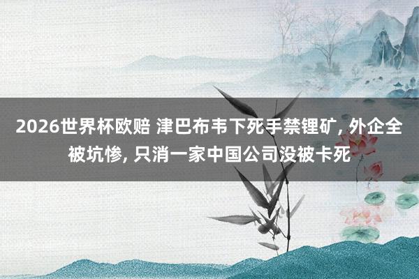 2026世界杯欧赔 津巴布韦下死手禁锂矿， 外企全被坑惨， 只消一家中国公司没被卡死