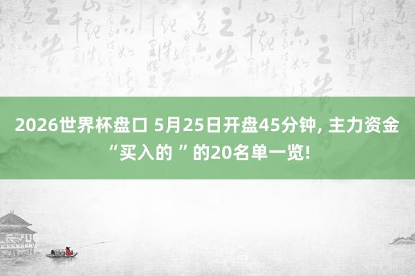 2026世界杯盘口 5月25日开盘45分钟， 主力资金“买入的 ”的20名单一览!