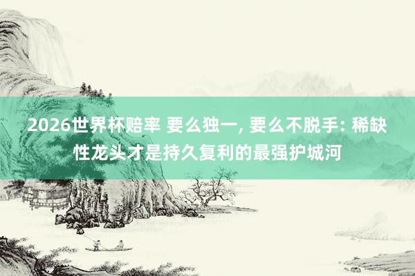 2026世界杯赔率 要么独一， 要么不脱手: 稀缺性龙头才是持久复利的最强护城河