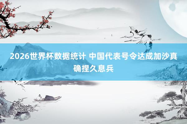 2026世界杯数据统计 中国代表号令达成加沙真确捏久息兵