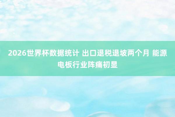 2026世界杯数据统计 出口退税退坡两个月 能源电板行业阵痛初显