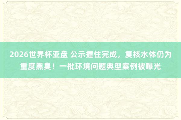 2026世界杯亚盘 公示握住完成，复核水体仍为重度黑臭！一批环境问题典型案例被曝光