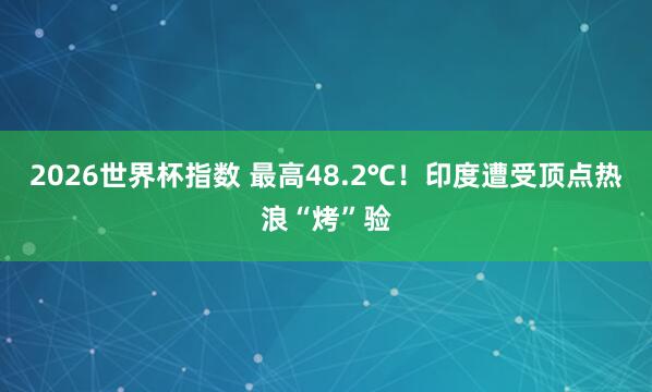 2026世界杯指数 最高48.2℃！印度遭受顶点热浪“烤”验