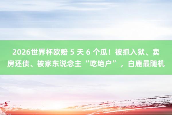 2026世界杯欧赔 5 天 6 个瓜！被抓入狱、卖房还债、被