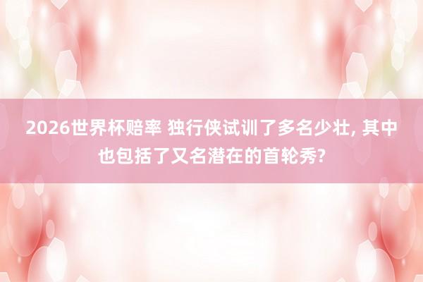 2026世界杯赔率 独行侠试训了多名少壮， 其中也包括了又名潜在的首轮秀?