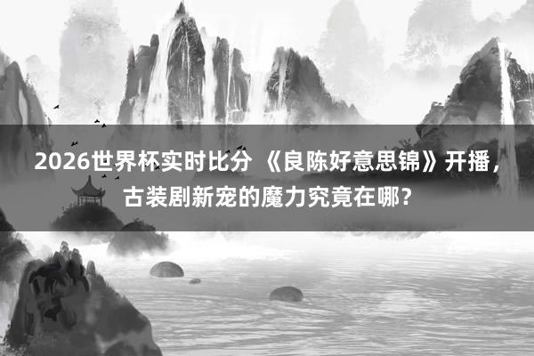 2026世界杯实时比分 《良陈好意思锦》开播,古装剧新宠的魔力究竟在哪?