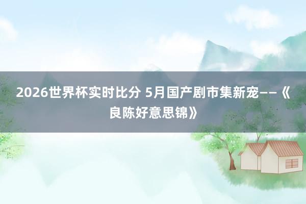 2026世界杯实时比分 5月国产剧市集新宠——《良陈好意思锦》