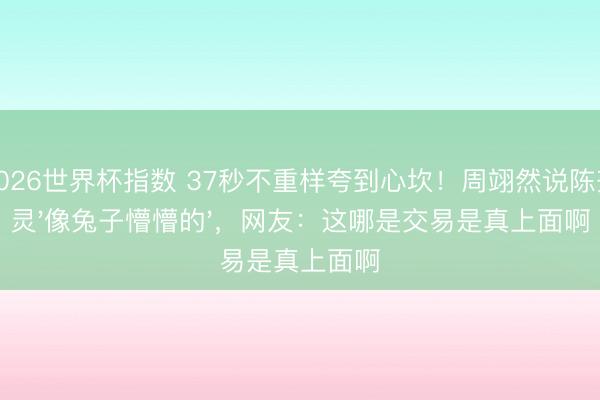 2026世界杯指数 37秒不重样夸到心坎！周翊然说陈齐灵'像兔子懵懵的'，网友：这哪是交易是真上面啊