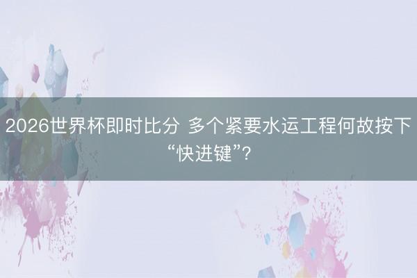 2026世界杯即时比分 多个紧要水运工程何故按下“快进键”?