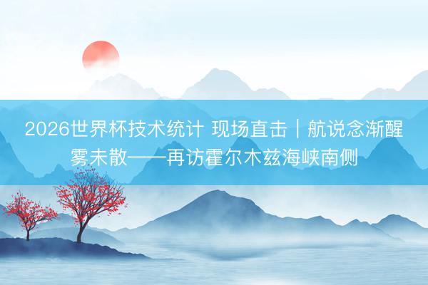 2026世界杯技术统计 现场直击|航说念渐醒雾未散——再访霍尔木兹海峡南侧